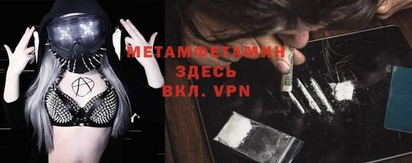 крисы Надым