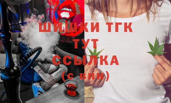 крисы Надым