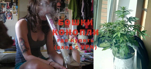 крисы Надым