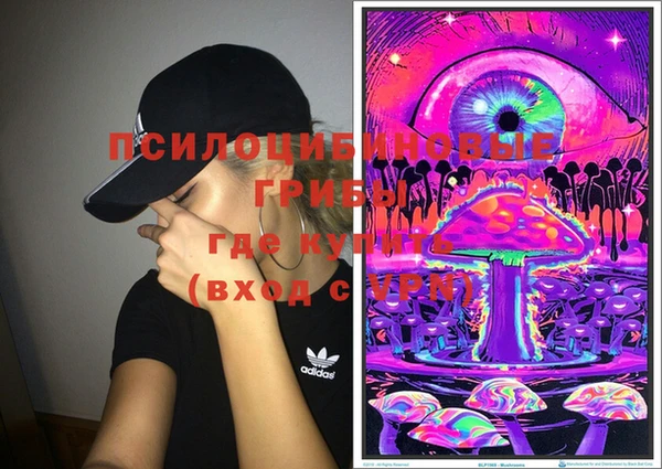 крисы Надым